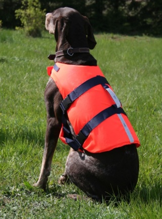 Sportis Kamizelka dla psa Pupil