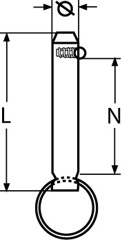AS Fast Pin 8x53