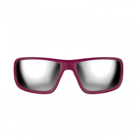 WIP Glasses Gust Evo polar WIP Glasses Gust Evo polar