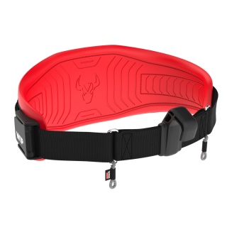 WIP Pas trapezowy Wing 3.0